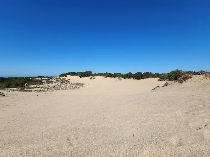 Iodine Beach Picture 8