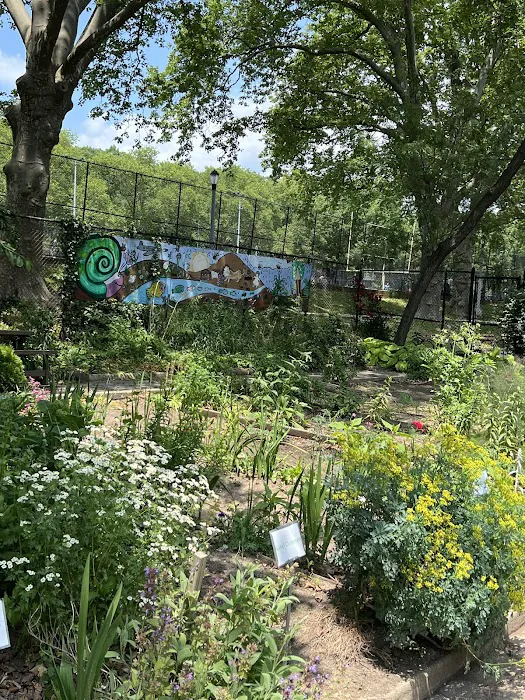 Highland Park Community Garden Picture 2