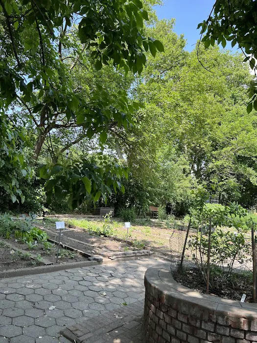 Highland Park Community Garden Picture 4
