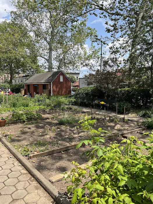 Highland Park Community Garden Picture 10