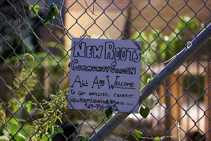 Queens New Roots Picture 10
