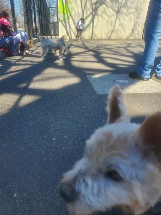 Travers Dog Run Picture 2