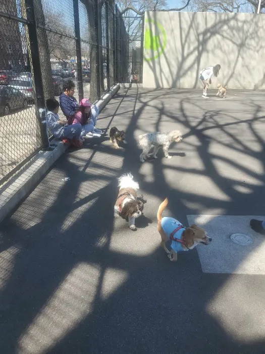 Travers Dog Run Picture 10