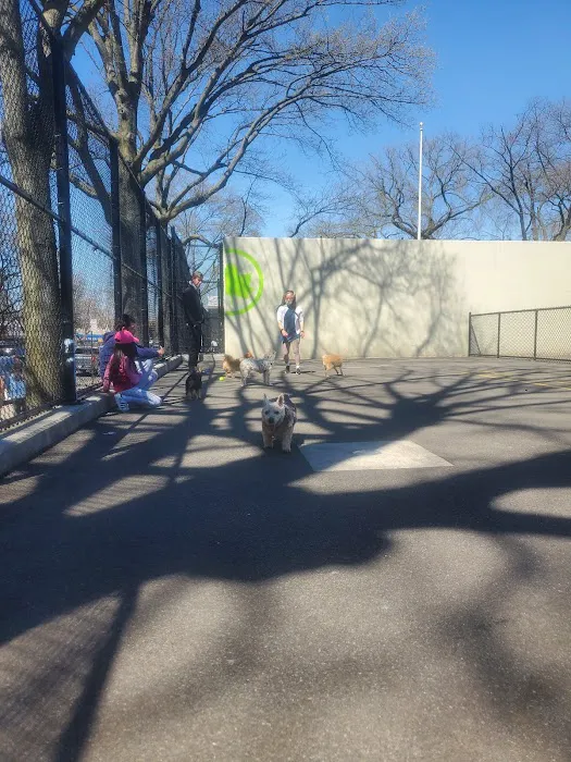 Travers Dog Run Picture 9