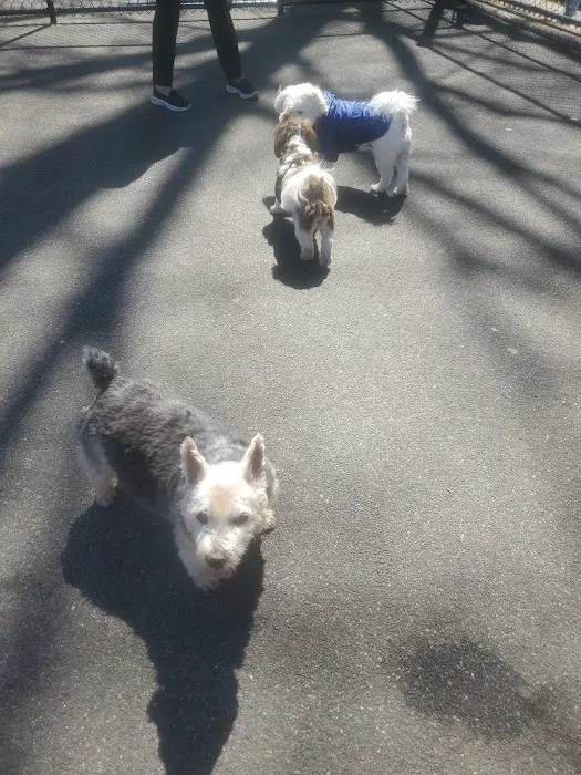 Travers Dog Run Picture 8
