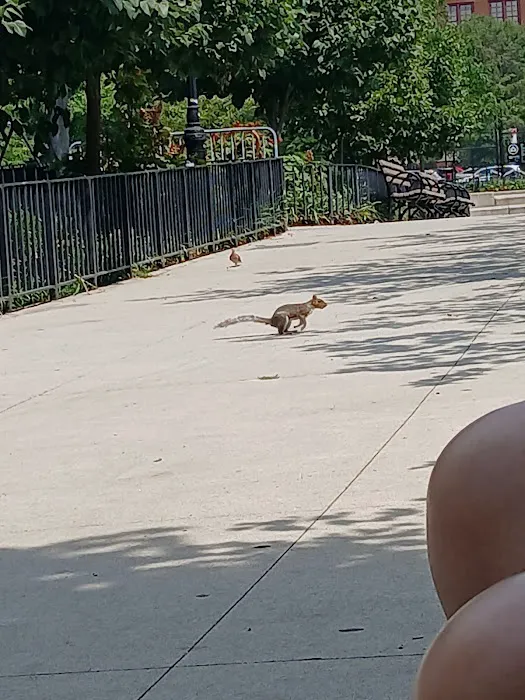 Travers Dog Run Picture 1