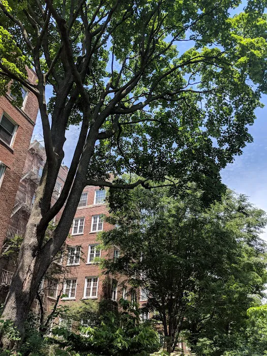 Hawthorne Court Picture 5
