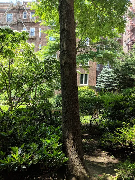 Hawthorne Court Picture 4