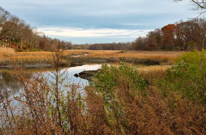 Otter Creek Preserve Picture 7