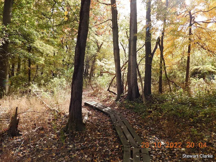 Otter Creek Preserve Picture 1