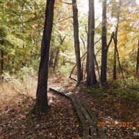 Otter Creek Preserve ico