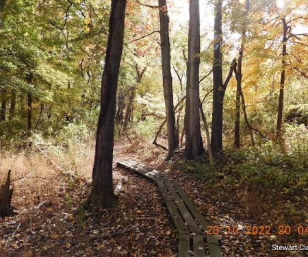 Otter Creek Preserve