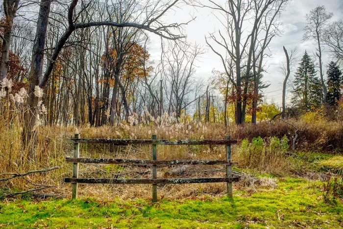 Otter Creek Preserve Picture 6