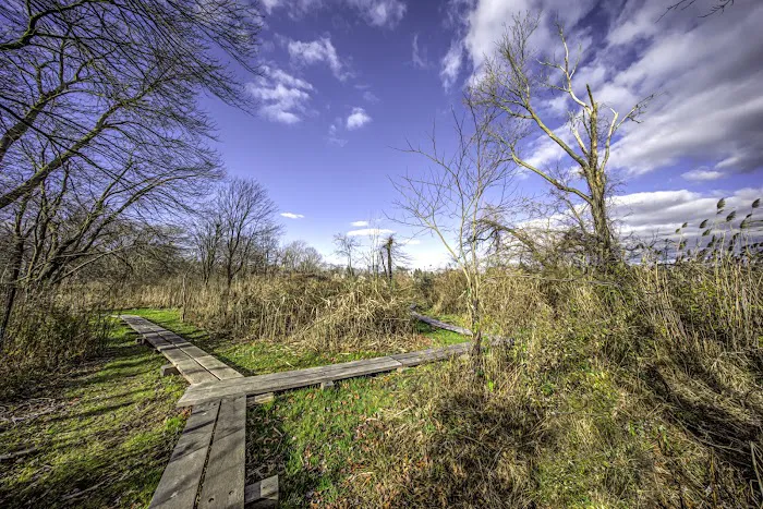 Otter Creek Preserve Picture 4