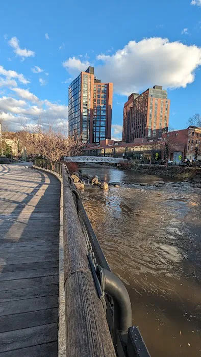 Daylighting of the Saw Mill River & Mill Street Picture 1