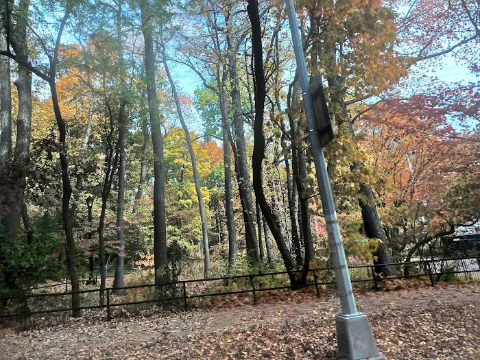 Vinmont Veteran Park Picture 5