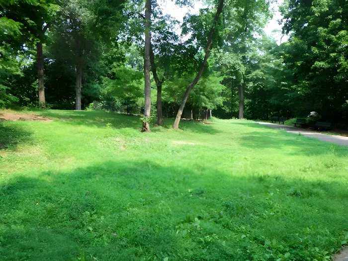 Hackett Park Picture 10