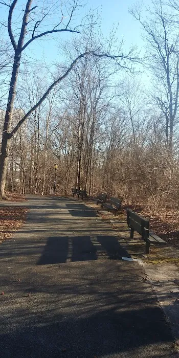 Hackett Park Picture 5