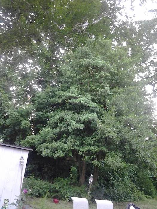 Lohrfink Park Picture 7