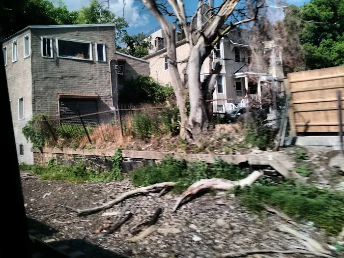 Ravine Park Picture 8