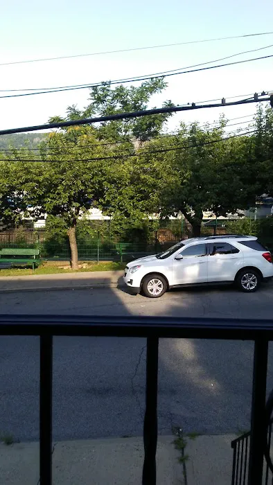 Ravine Park Picture 9