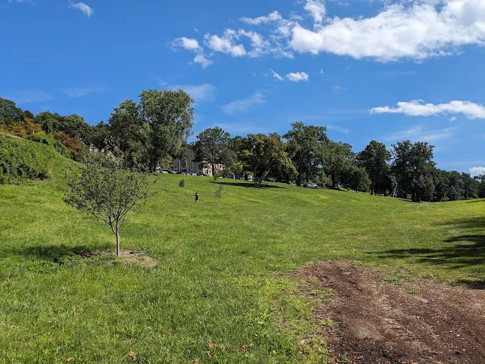 Trevor Park & Playground Picture 5