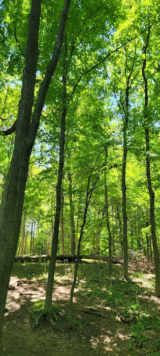 Anthony O'Boyle Memorial Park Picture 1
