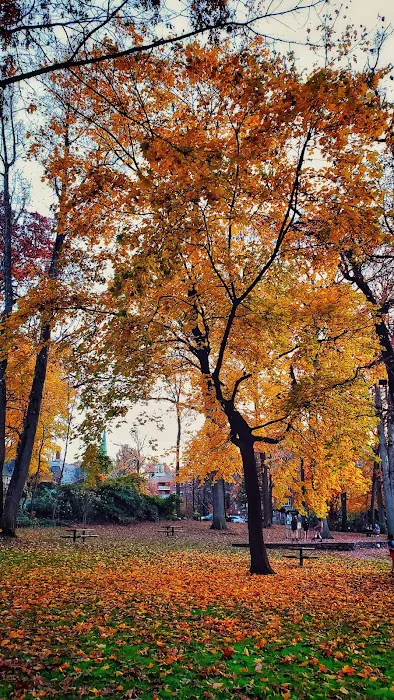 Chase Park Picture 10