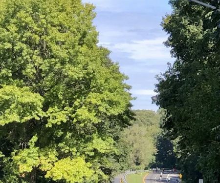 Bronx River Park