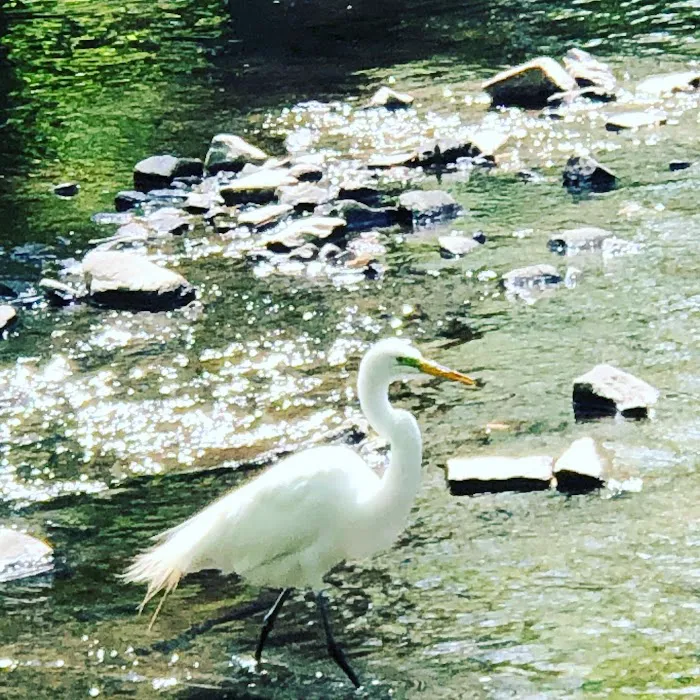 Bronx River Park Picture 3