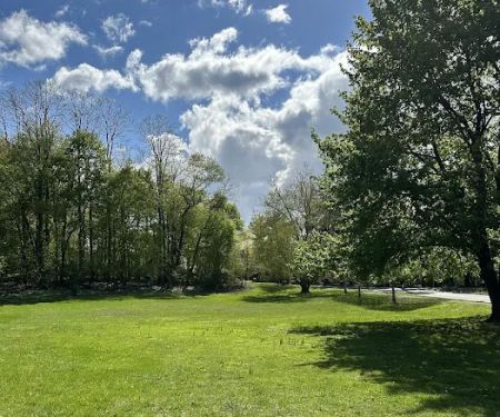 Butler Field