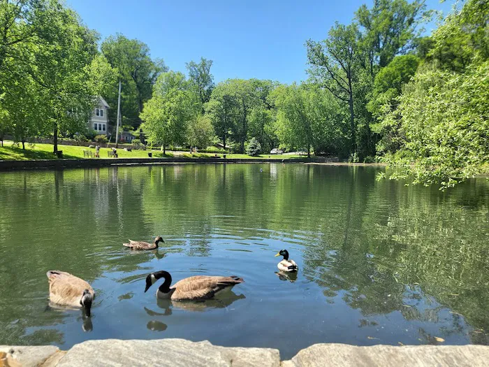 Crane's Pond Picture 1