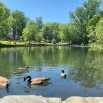 Crane's Pond