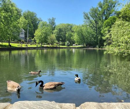 Crane's Pond