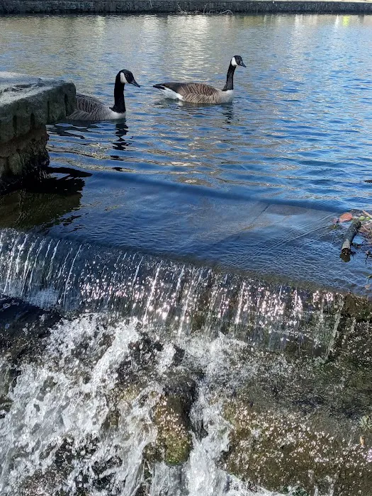 Crane's Pond Picture 4