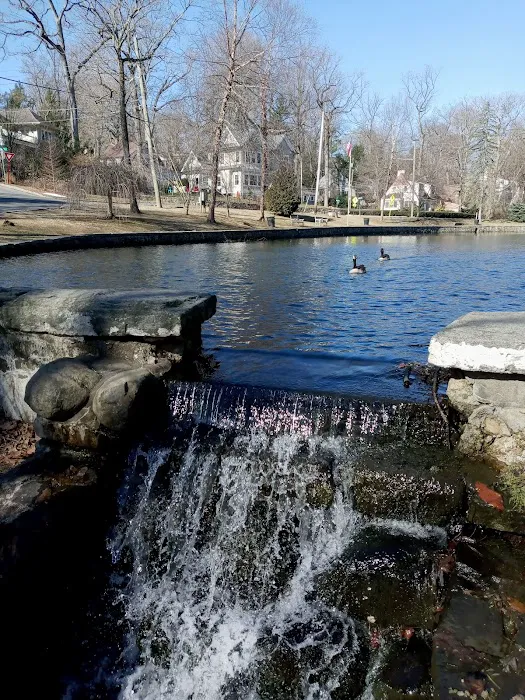 Crane's Pond Picture 3