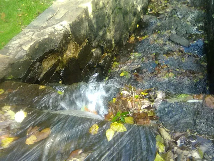 Crane's Pond Picture 5