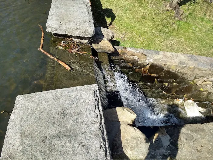 Crane's Pond Picture 8