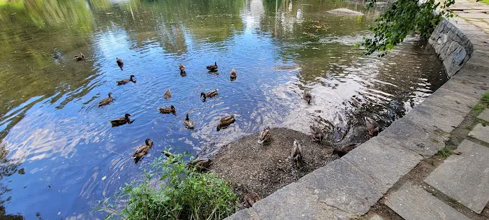 Crane's Pond Picture 9