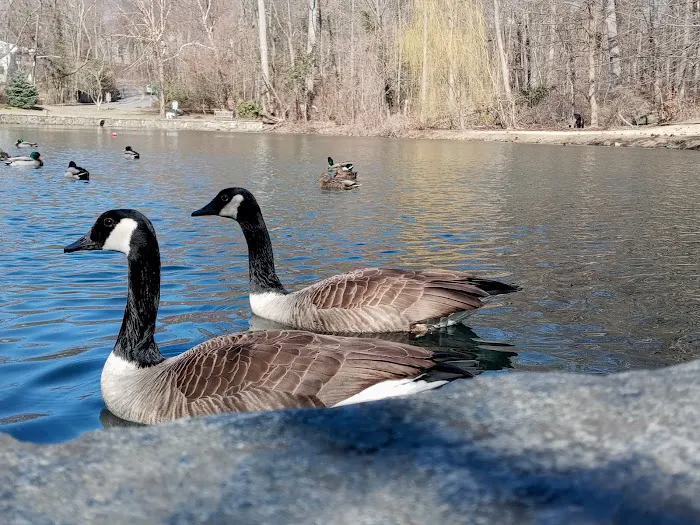 Crane's Pond Picture 10