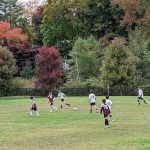 Scout Field