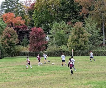Scout Field