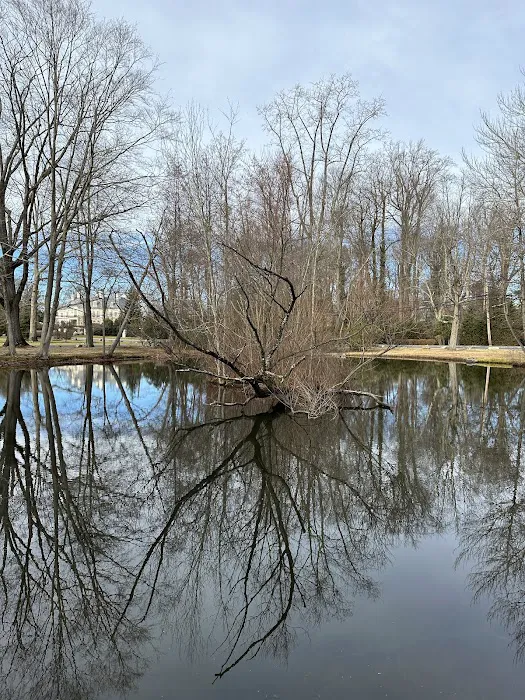 Heathcote Duck Pond Picture 1