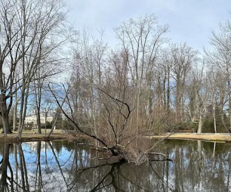 Heathcote Duck Pond