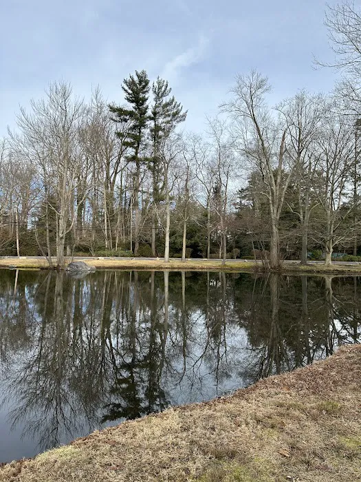 Heathcote Duck Pond Picture 2