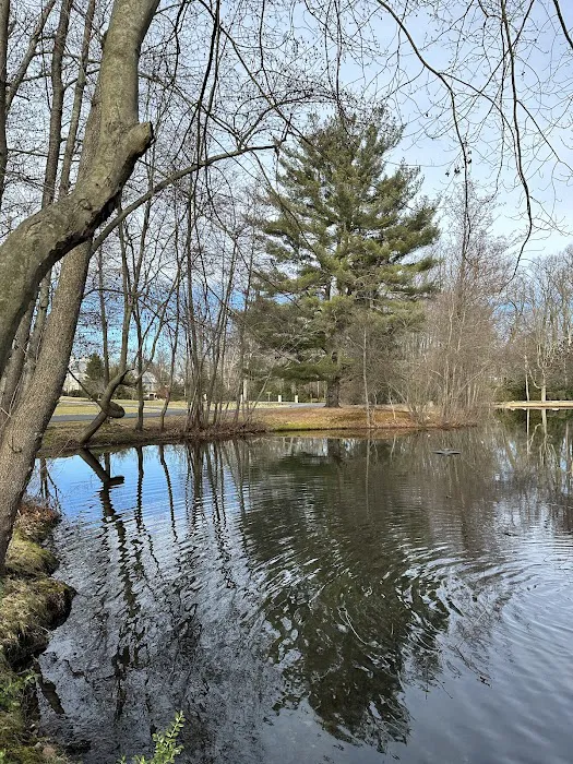 Heathcote Duck Pond Picture 9