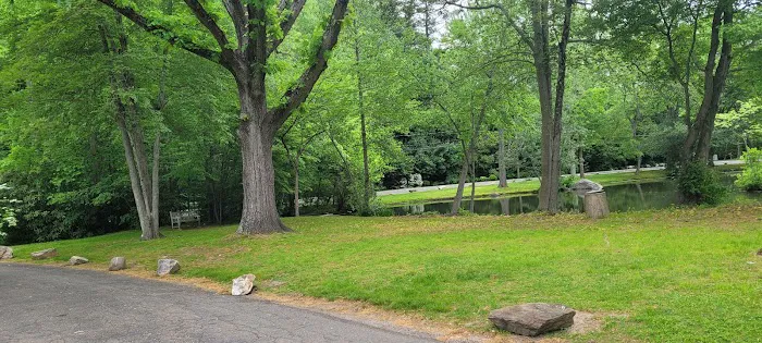 Heathcote Duck Pond Picture 5