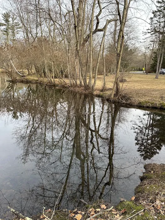 Heathcote Duck Pond Picture 10
