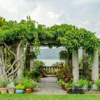 Wave Hill Public Garden & Cultural Center ico