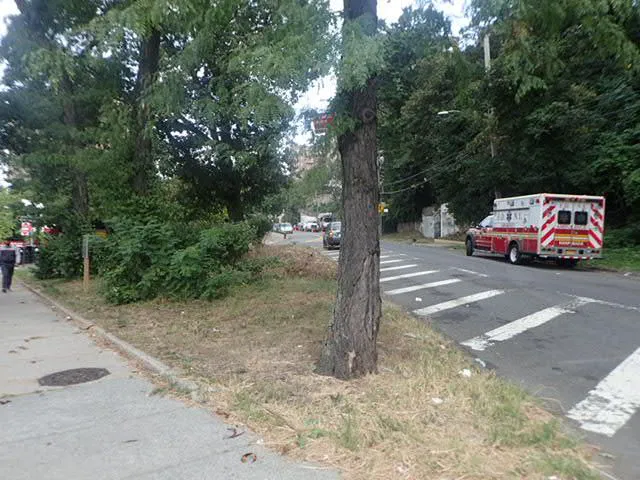 Heath Triangle Picture 8